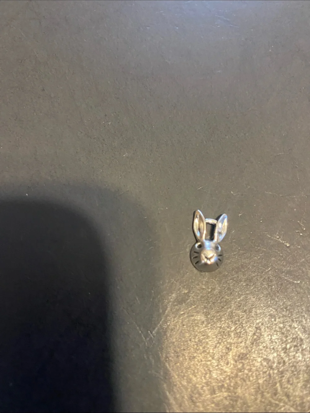 Fashion Jewelry Silver Pet & Nature Charm Set